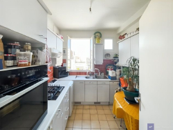 photo15