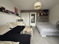 photo1