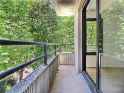 photo1
