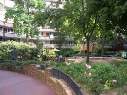 photo8