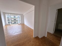photo8