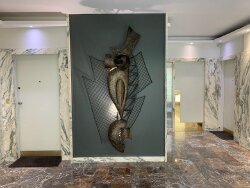 photo8