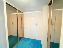 photo8