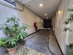 photo11