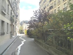 photo4