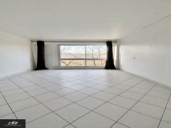 photo11