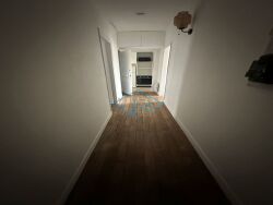 photo3
