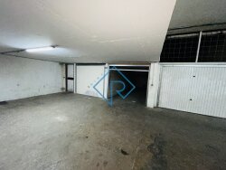 photo6
