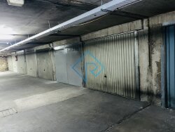photo6