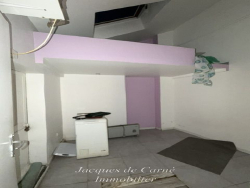 photo4
