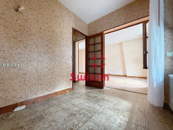 photo6