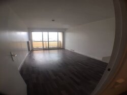 photo7