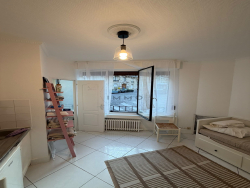 photo11