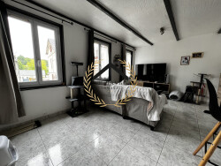 salon-ou-chambre-appartement-rdc