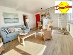 salon-avec-coin-cuisine