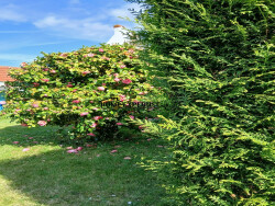 acolve-donnant-sur-terrasse-plein-sud