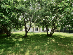 photo12