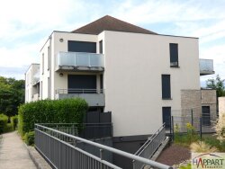 photo3
