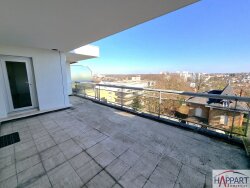 photo4