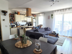 photo6