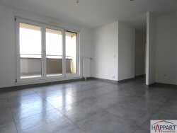 photo8