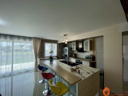 photo5