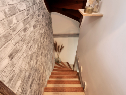 photo7