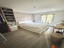 photo7