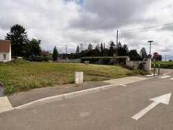 photo2