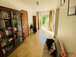 photo6