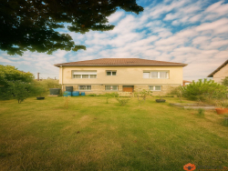 photo1