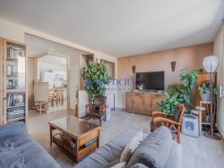 sejour-avec-baie-vitree