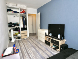photo8