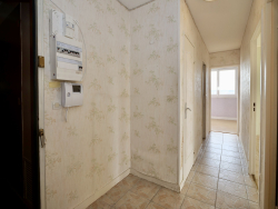 photo11