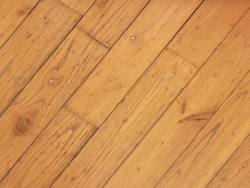 photo17