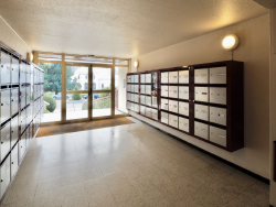 photo1