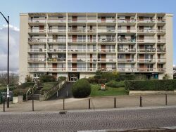 photo6