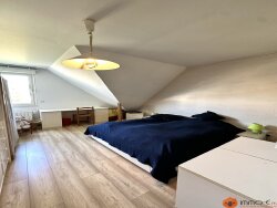 photo17