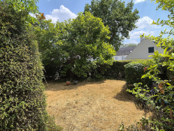 photo3
