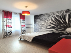 photo8