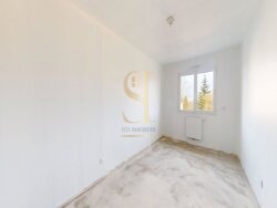 photo6