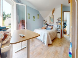 vue-balcon