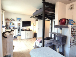 photo6