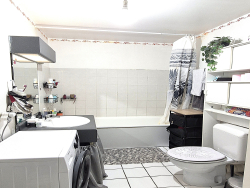 photo8