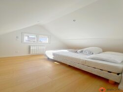 photo7