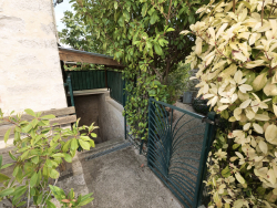 photo6