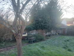 jardin