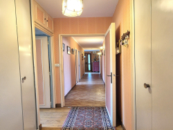 photo8