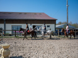 manege