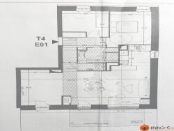 photo5